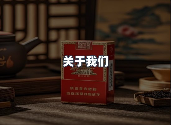 关于我们